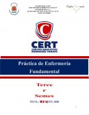 Proceso de atencion de enfermeria