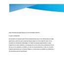 Caso Empresa de papel Papyrus en la comunidad el Rincón