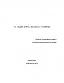 La industria chilena y los procesos industriales
