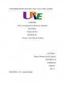 Ensayo: una vida sin valores