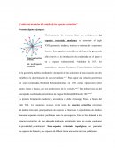 APUNTES DE ÁLGEBRA LINEAL