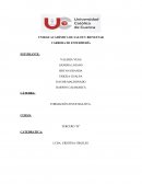 Instrumentos de recolección de datos