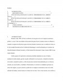 Consecuencias de los grupos subversivos en el Perú entre los años 1980 a 2000