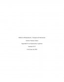 Tecnologia aplicada a la Administración. Seguridad En Las Operaciones Logísticas