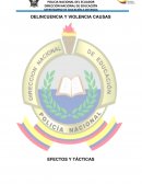 ENSAYO DE LA TEORÍA SOBRE LA ANOMIA Y DESORDEN SOCIAL