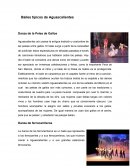 Bailes típicos de Aguascalientes
