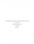 Tipos de Peligrosidad de Productos Químicos y Medidas de Seguridad en las Industrias