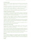 LA ESTRUCTURA EN LA SOCIEDAD COLONIAL