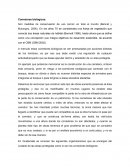 Impacto ambiental en los corredores