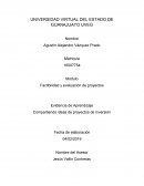 Compartiendo ideas de proyectos de inversión