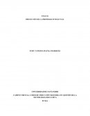 PROTECCIÓN DE LA PROPIEDAD INTELECTUAL