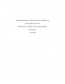 Relación de Costo – Beneficio en un sistema de beneficio