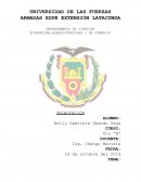 LABORATORIO No. 03 (CLASE) CREDITO TRIBUTARIO DE IVA