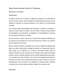 Neuronas y su funcion