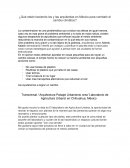 Arquitectos y sus aportaciones