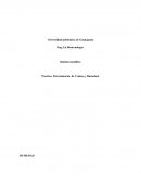Determinación de Humedad y cenizas