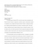 PROYECTO DE HUERTOS FAMILIARES