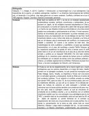 El Huila y el Conflicto Armado