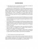 Caso Styler Chemical