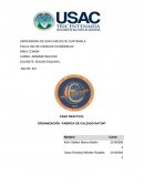 CASO PRÁCTICO: ORGANIZACIÓN “FABRICA DE CALZADO RATON”