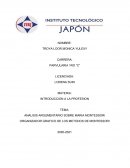 ANALISIS ARGUMENTARIO SOBRE MARIA MONTESSORI