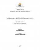 Desarrollo Plan de Marketing