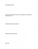 Resumen de la importancia del tutor y el estudiante en ambientes de aprendizaje virtual