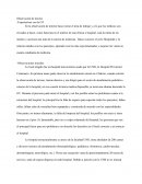 Observacíon de terreno UNR