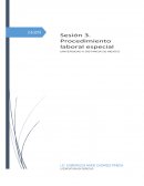 Sesión 3. Procedimiento laboral especial