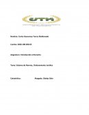 Introducción al Derecho Sistema de Normas, Ordenamiento Jurídico Piramide de kelsen