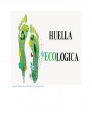 Evaluación y diseño de la sustentabilidad Evidencia de aprendizaje: ¿Cuál es tu huella ecológica?