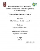 Inmovilización de enzimas