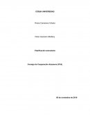 Consejo de Cooperación Aduanera