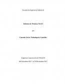 Empresa Comercial KAUFMANN