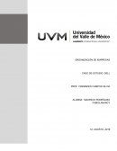 ORGANIZACIÓN DE EMPRESAS CASO DE ESTUDIO: DELL