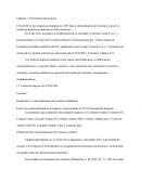 Finanzas corporativas- Caso UNACEM