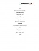 Elementos de comunicación grafica