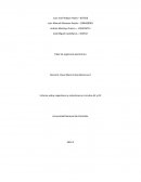 Informe sobre capacitores e inductores en circuitos AC y DC