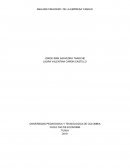 ANALISIS FINACIERO DE LA EMPRESA ‘FAMILIA’