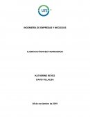 INGENIERÍA DE EMPRESAS Y NEGOCIOS EJERCICIO ÍNDICES FINANCIEROS