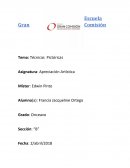 Técnicas Pictóricas