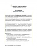 Programa de clase Expresión DTV