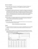 Nivel de la investigación