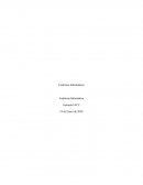 Auditoria Informatica Control 1 IACC