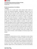 El diseño de experiencias en las cafeterías