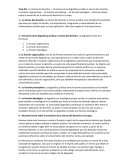 Tesis codigo civil