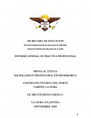 Informe de practica profesional en informática