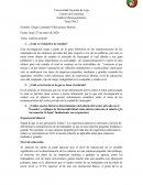 Mercado de trabajo Guayaquil 2014