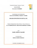 TFG ANALISIS ESTRATEGICO DE NETFLIX