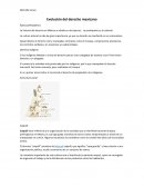 Evolución del derecho mexicano